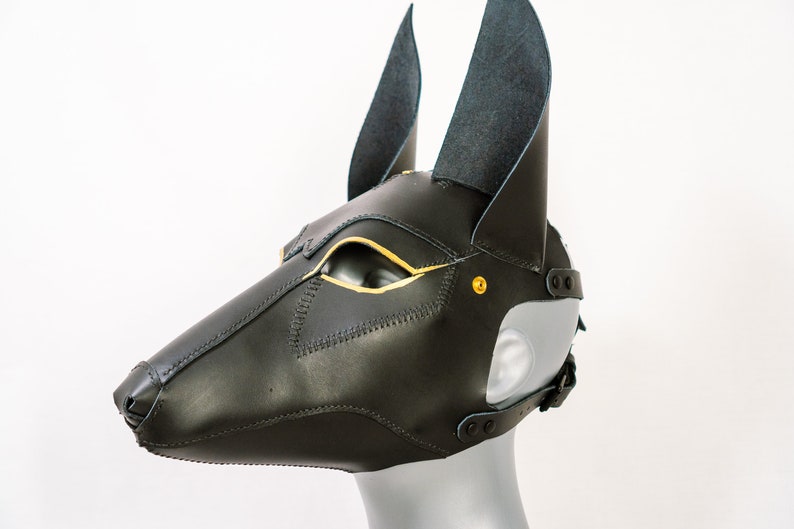 May include: Black leather mask with gold accents and pointed ears. The mask is designed to resemble an animal head, possibly a dog or wolf.