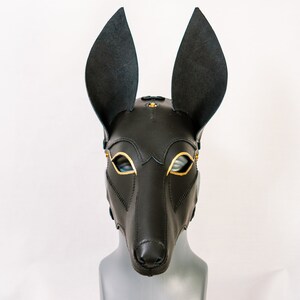 May include: A black leather mask with gold accents, featuring large ears and a pointed snout. The mask is designed to cover the entire face, with eye holes and a small opening for the mouth.
