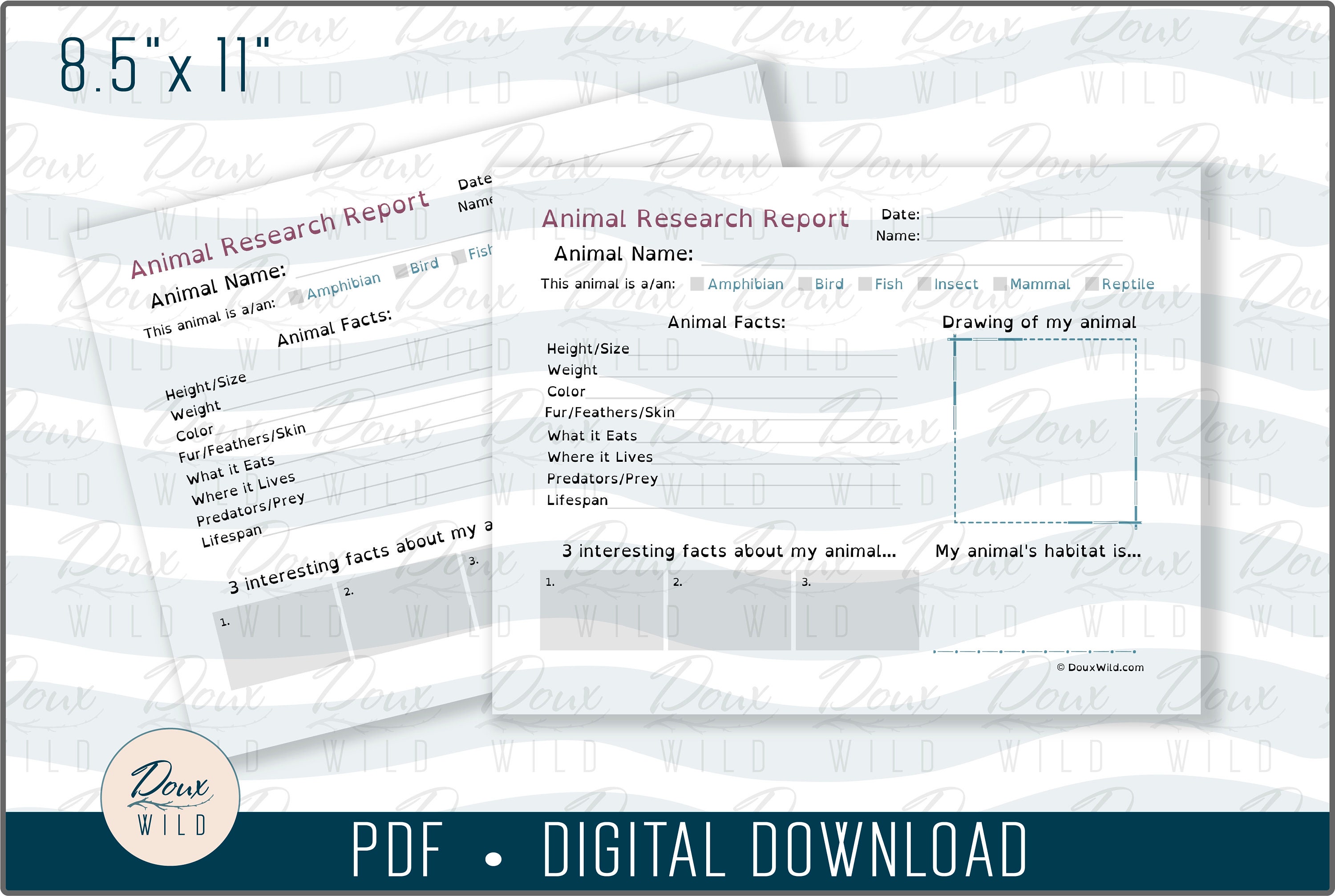 Animal Research Report Worksheet PDF Homeschool - Etsy Animal Research Report Worksheet PDF Homeschool - Etsy