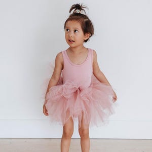 Classic Ballet Tutu Dress - Dusty Pink