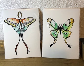 wings- set of 2 5x7 prints