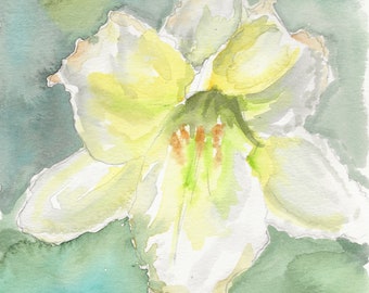Lily white yellow print from original watercolor painting