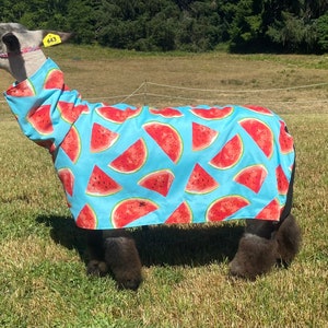 Sheep show blanket, made in USA.