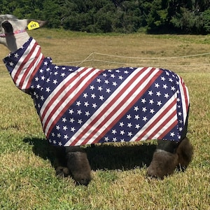Sheep show blanket, made in USA.