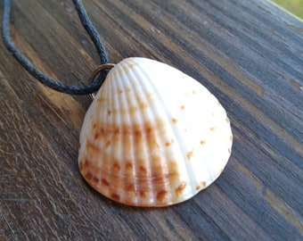 Collar de concha - con cordón negro de 16''