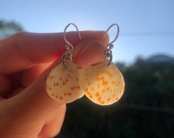 Pendientes de concha de bivalvo ~ del Caribe ~