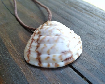 Collar de concha con cordón marrón de 16''