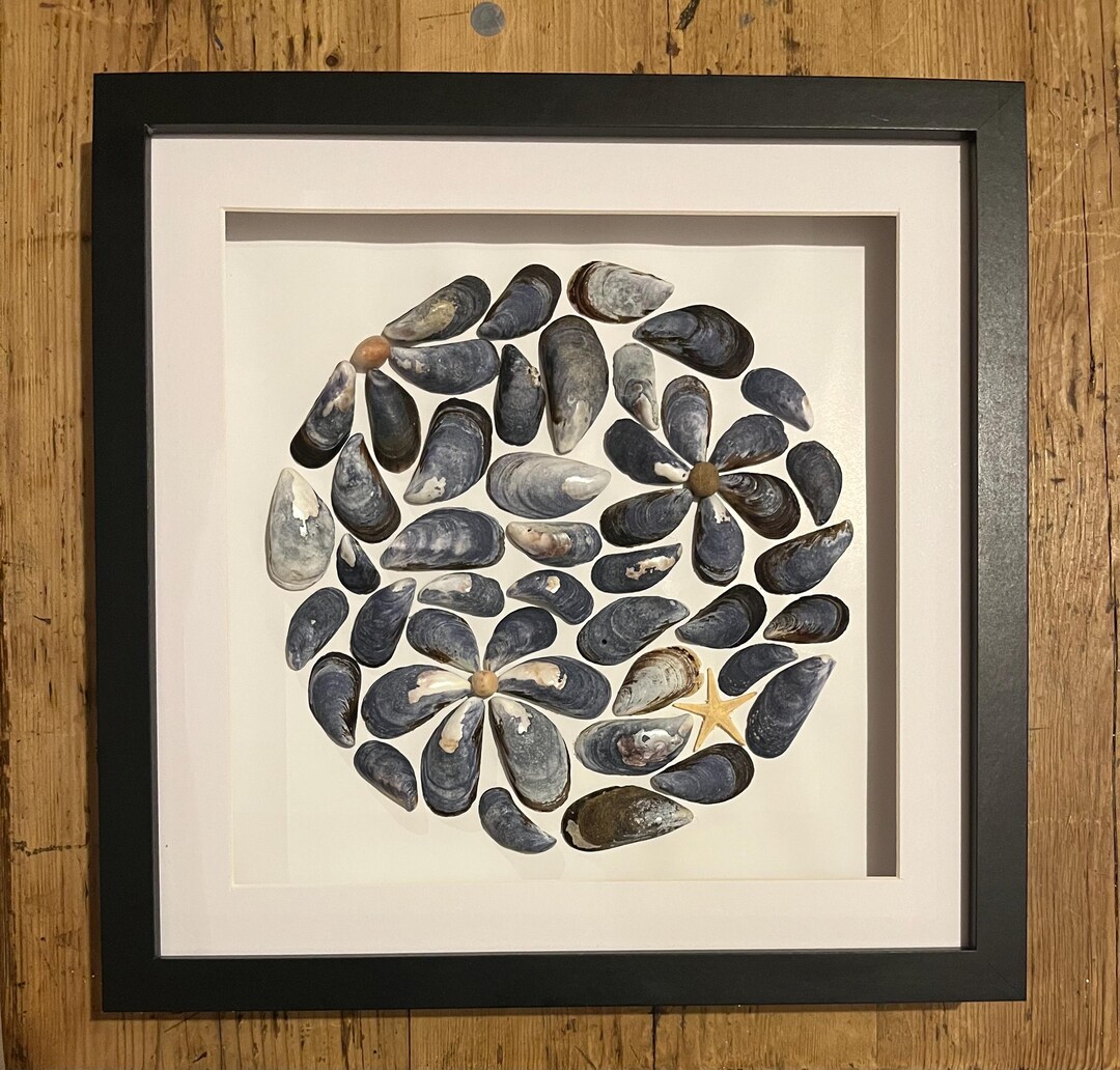 Muscle Shell Flower Picture - Etsy