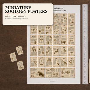 Lost Miniature Zoology Posters - 33 Unique Posters with detailed illustrations - Animals, Wildlife, Zoo - 1/12 SCale