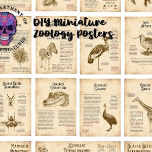 Poster di zoologia in miniatura perduti - 33 poster unici con illustrazioni dettagliate - Animali, fauna selvatica, zoo - scala 1/12