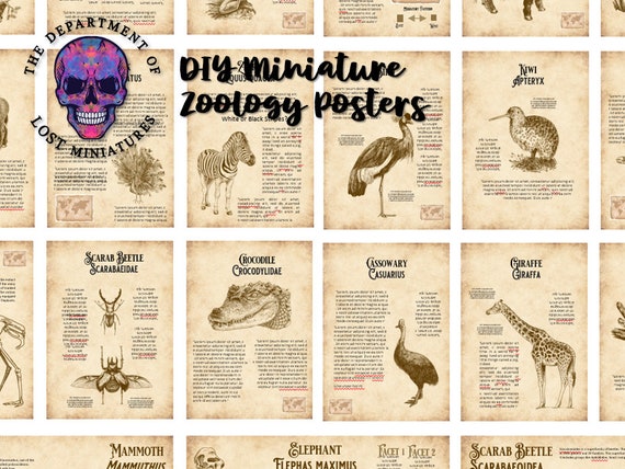 Lost Miniature Zoology Posters - 33 Unique Posters with detailed illustrations - Animals, Wildlife, Zoo - 1/12 SCale