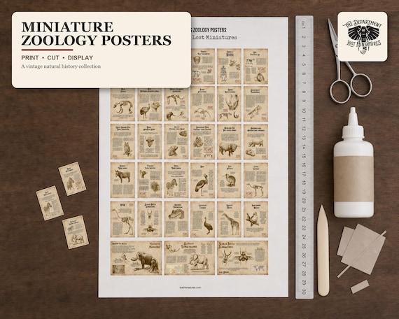 Lost Miniature Zoology Posters - 33 Unique Posters with detailed illustrations - Animals, Wildlife, Zoo - 1/12 SCale