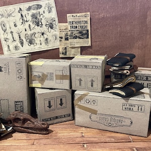 May include: A collection of vintage cardboard boxes with various labels, including "Certified Fresh Milk", "Air Mail", and "Antique Cages".  A stack of old leather-bound journals and a dinosaur skull are also in the image.