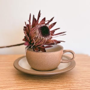 May include: A brown ceramic teacup and saucer set with a dried burgundy flower. The cup and saucer have a speckled texture and a cream-colored interior. The flower is placed inside the cup, creating a still-life composition.