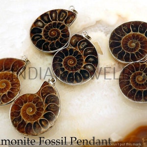 Natural Ammonite Fossil Gemstone Pendant / Ammonite Fossil  Pendant / Antique Jewelry Lot / Wholesale Lot / 925 Sterling Silver Plated