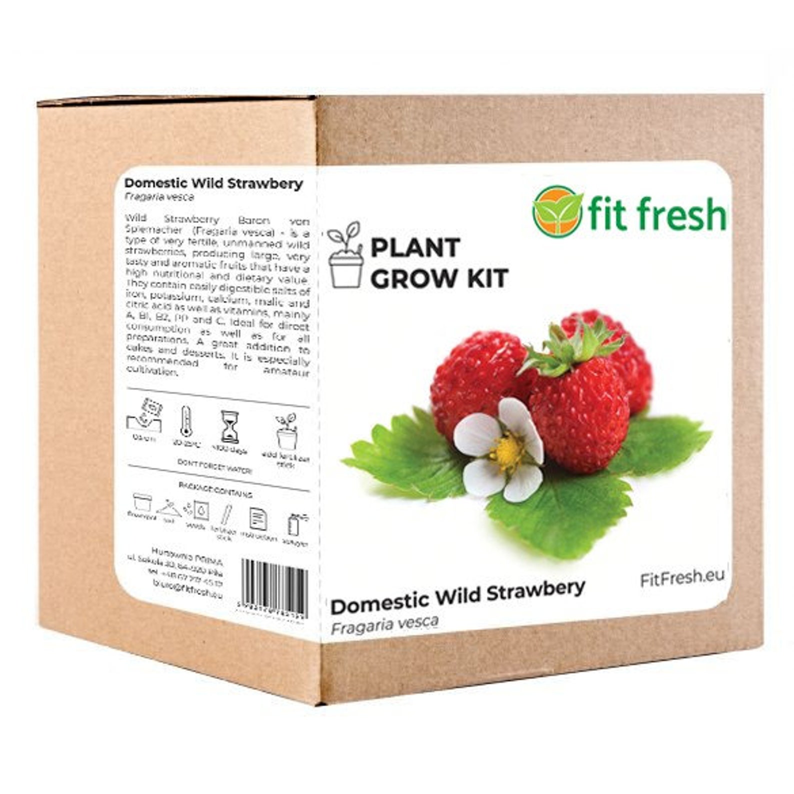 Plant Grow Kit Wild Strawberry Seeds Plant Growing Kit Fit Etsy