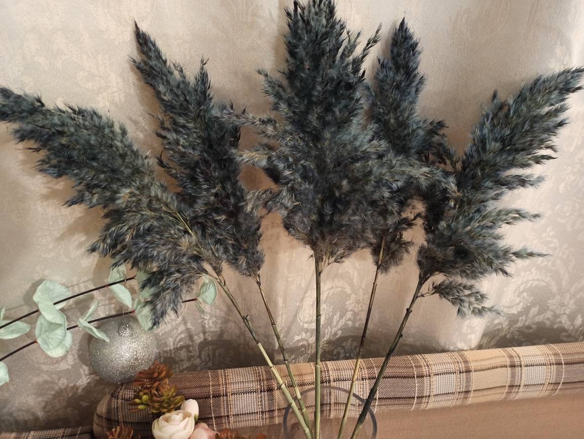EXTRA PAMPAS GRASS Navy Blue/one1stem/wedding Decor/tall Etsy