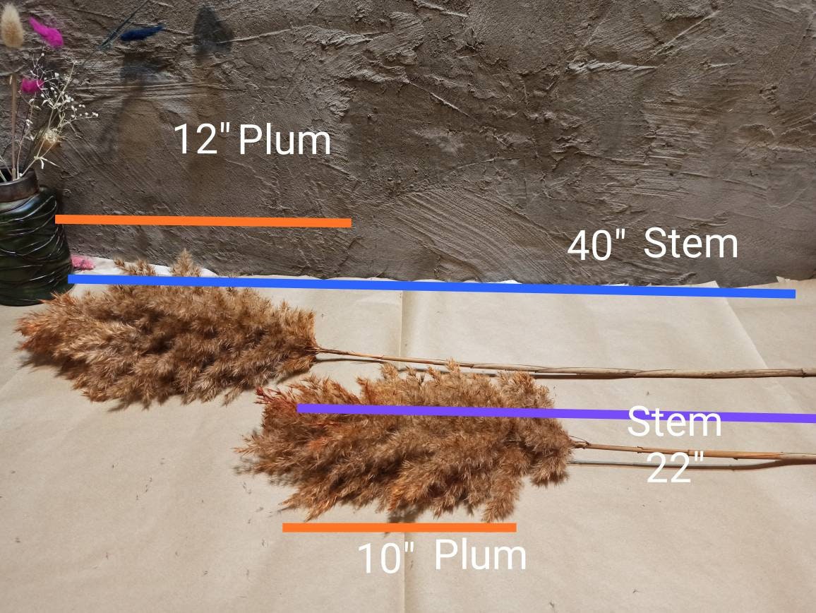 EXTRA PAMPAS GRASS Navy Blue/one1stem/wedding Decor/tall Etsy