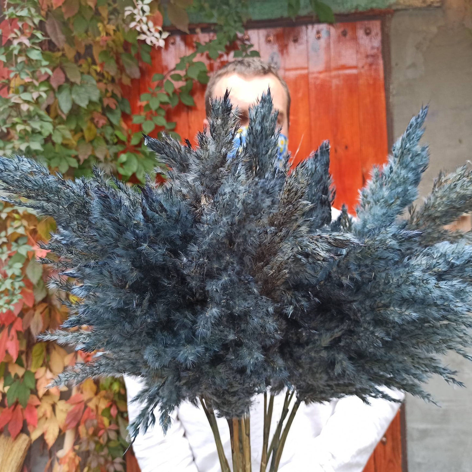 PAMPAS GRASS Navy Blue/ONE1Stem/Wedding Etsy