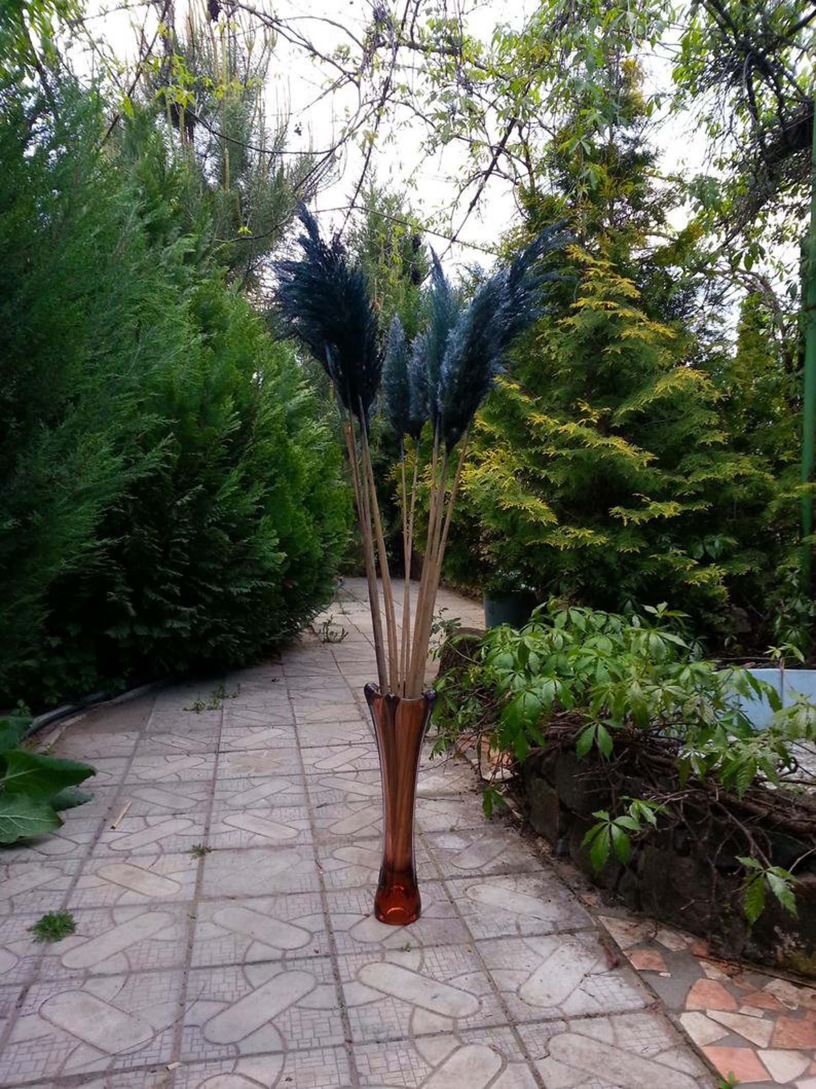 PAMPAS GRASS Navy Blue/ONE1Stem/Wedding arch/Tall Etsy