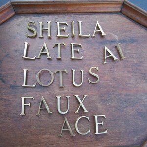 May include: A wooden plaque with a dark brown finish, featuring brass letters spelling out "SHEILA LATE AI LOTUS FAUX ACE". The plaque has a decorative, octagonal frame.