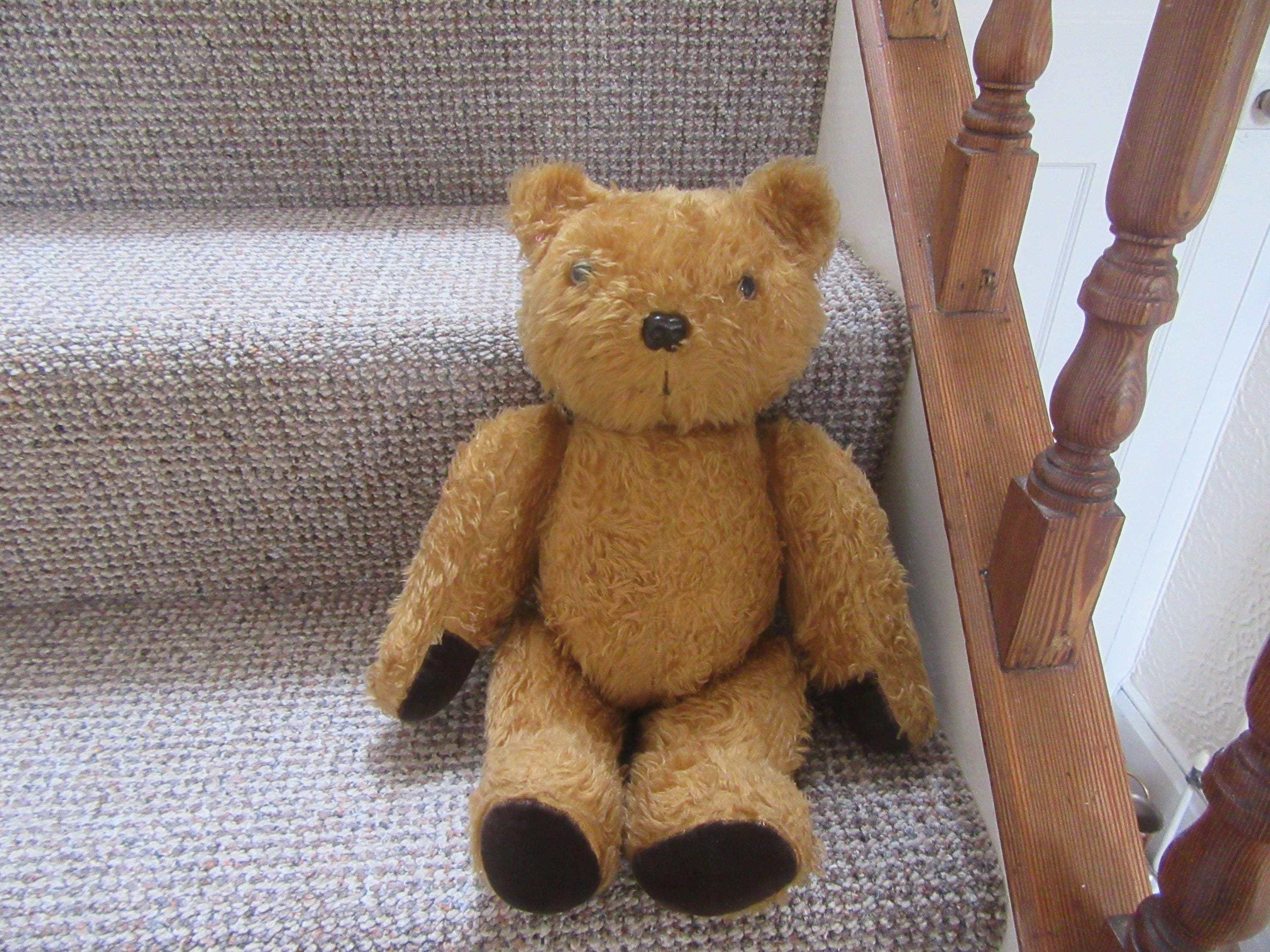 Vintage English c1960s Teddy Bear. Glass eyes. Jointed head and limbs. Velvet pads.