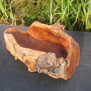 Large Natural Yew Wood Fruit Bowl/Wine Holder Hand Carved - Hollowed Out - Wine Bottle/Fruit Basket- Rustic Decoration.