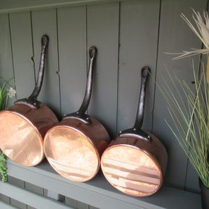 May include: Three copper saucepans with long, dark metal handles are displayed on a gray shelf. The pans have a shiny, reflective surface. The background features green plants and a gray wooden wall.