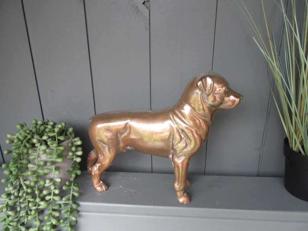 Large Solid Brass Rottweiler Statue 20cm X 25cm Very Heavy 3.8 Kg - Etsy