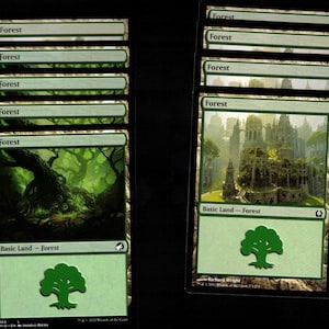 May include: A collection of green and white "Forest" Magic: The Gathering trading cards. The cards feature forest landscape art and a green tree symbol. The text "Basic Land - Forest" is visible on the cards.
