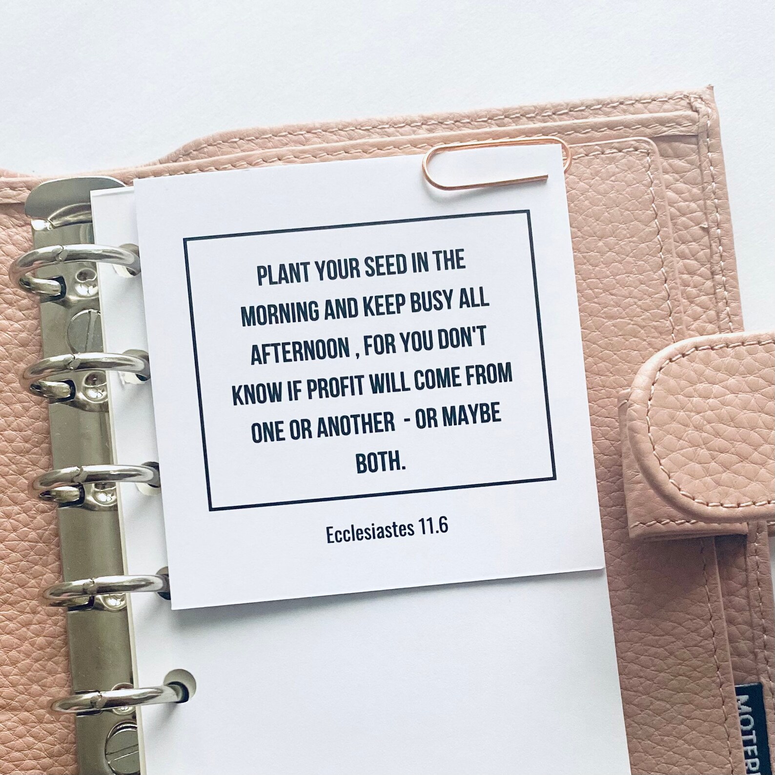 Monthly Planner Aesthetic Agenda Accessories Planner Cards Etsy