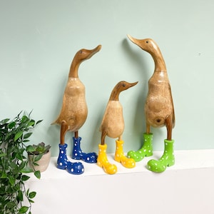 Duck in boots top