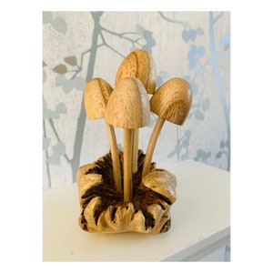 Wooden Mushrooms – Coco and Duckie