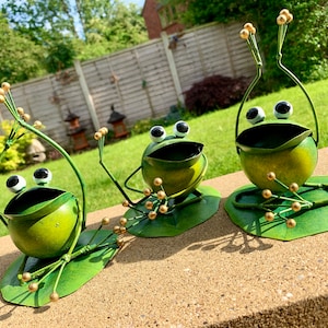 Grenouille en métal peint - Métal multicolore - Ornements décoratifs faits main
