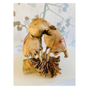 Wooden Carved Mushroom Ornament Group of Five Mushrooms Wood Carving Fair Trade Toadstools Fungi Parasite Wood