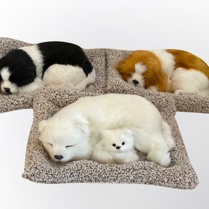 May include: Four plush toy dogs sleeping on brown fluffy beds. The dogs are black and white, brown and white, white, and a smaller white dog.