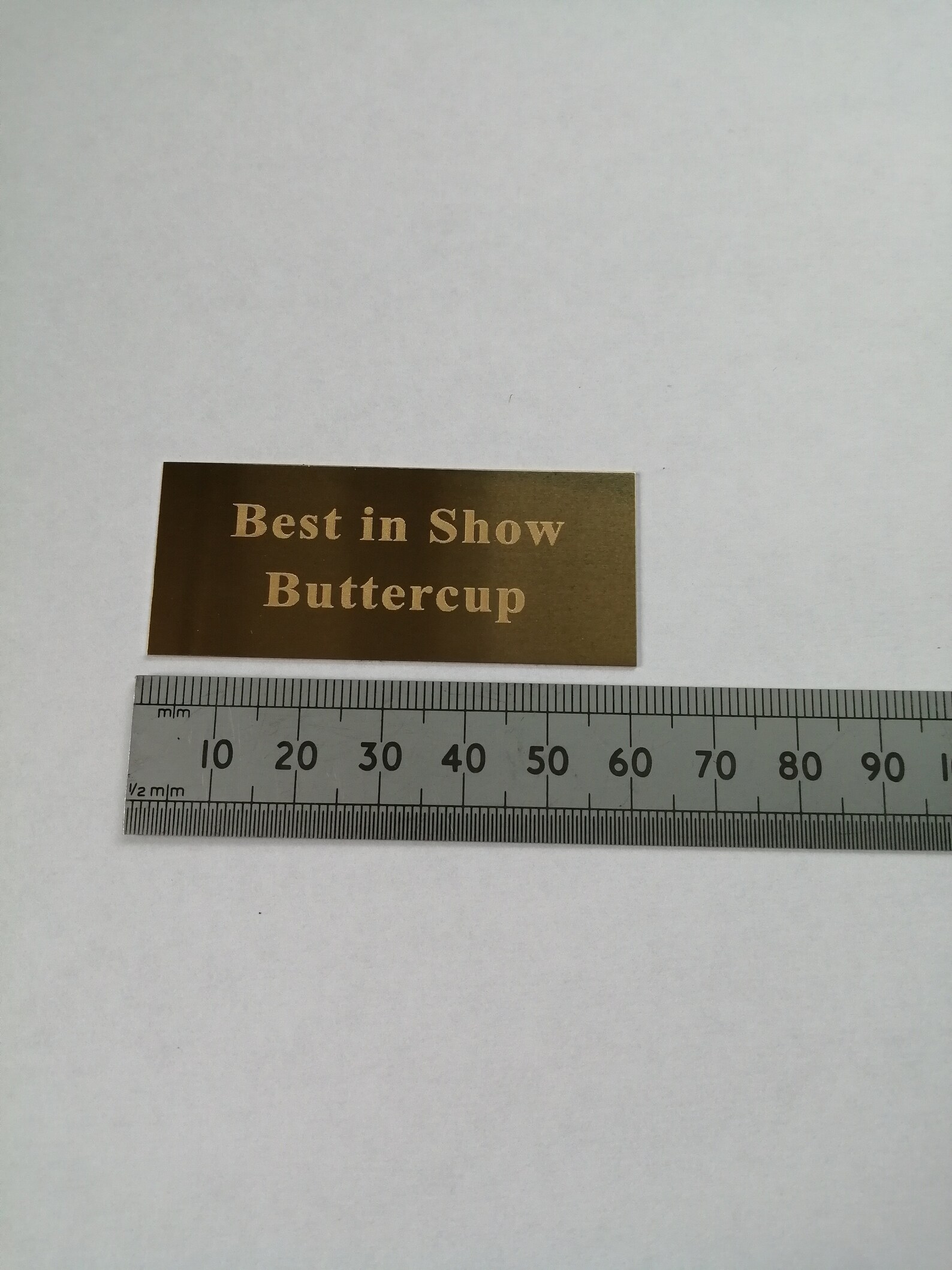 60x25mm Engraved Trophy Plaque, Self Adhesive Name Plate, Gold or