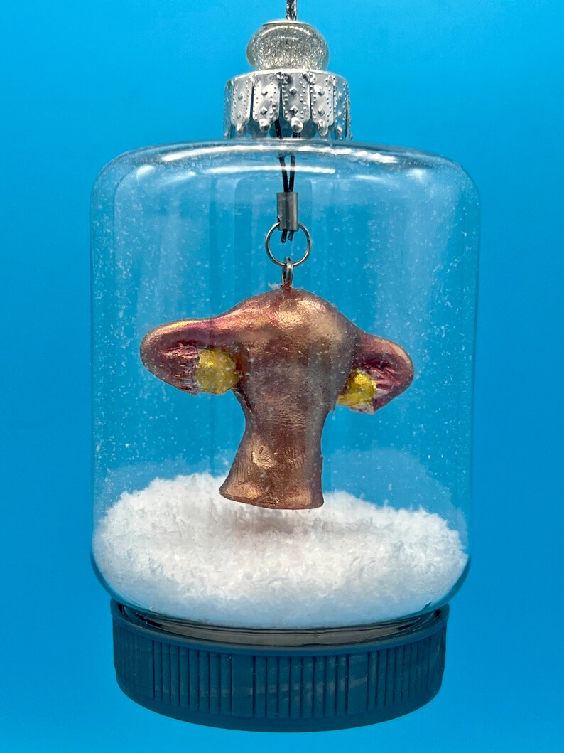 Waterless Uterus & Ovaries Anatomical Organ Snow Globe Masson Etsy