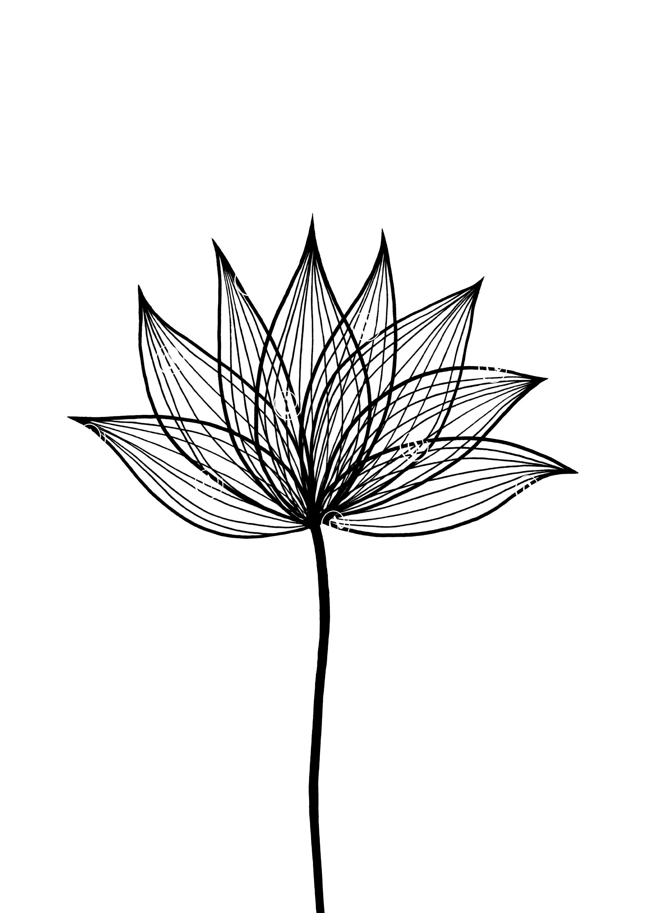 Lotus Flower Wall Art Minimalist Abstract Line Drawing Print Etsy
