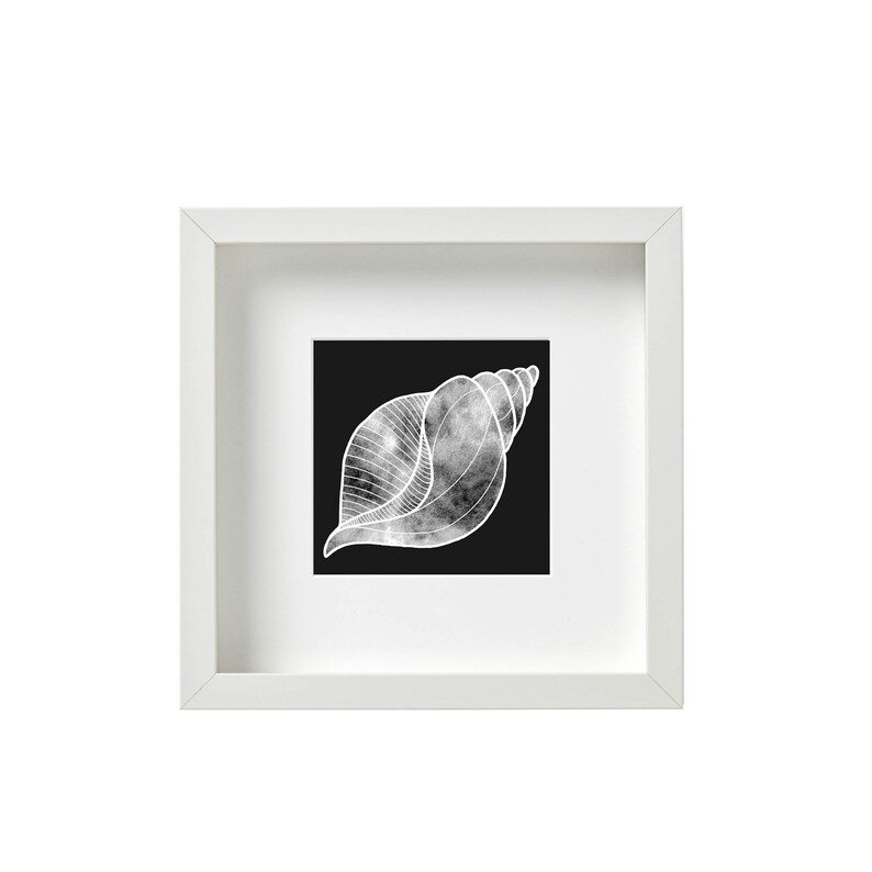 Seashell Bathroom Decor Black and White Wall Art Print Etsy