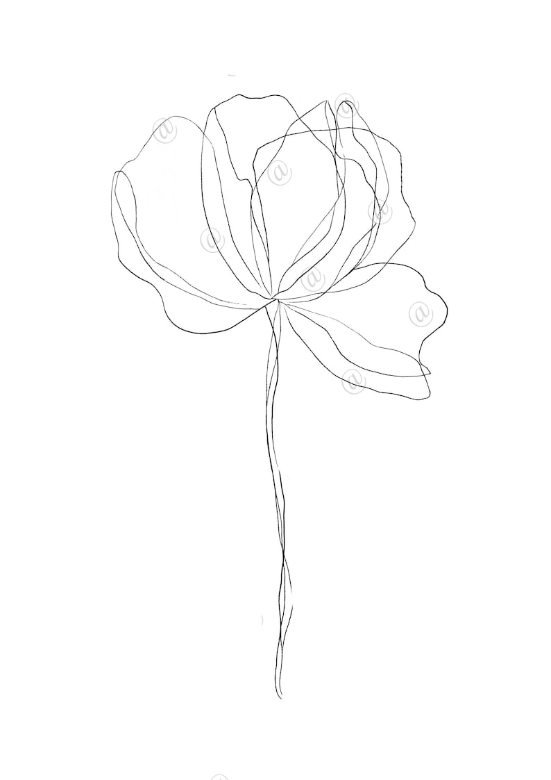 Minimalist Flower Drawing Minimalist Flower Drawing