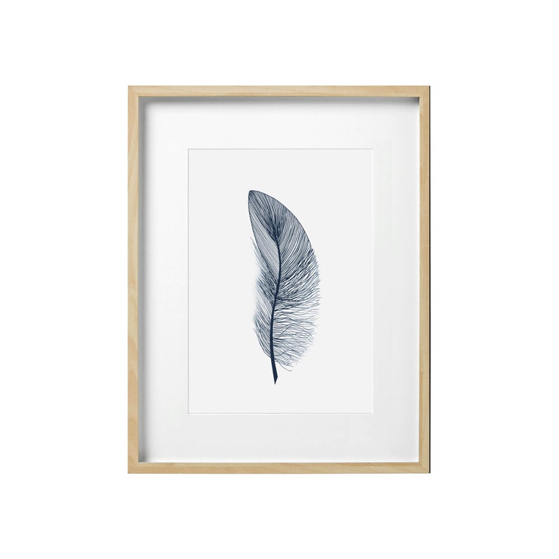 Blue Feather Wall Art Line Drawing Print Etsy