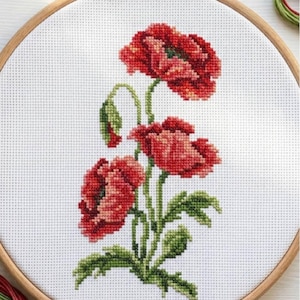 May include: A white ceramic mug with a black handle and the text "But First, Coffee" in a black, handwritten-style font. The mug is on a white surface.