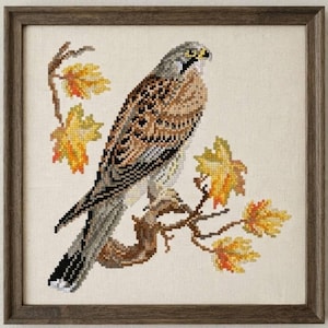 Falcon, hawk, bird of prey cross-stitch design, cross-stitch design, Half Face Bird Design (PDF, Instant download)