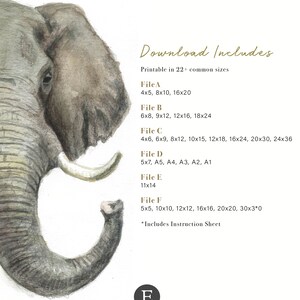 Nursery Art Printable Elephant Printable Animals - Etsy