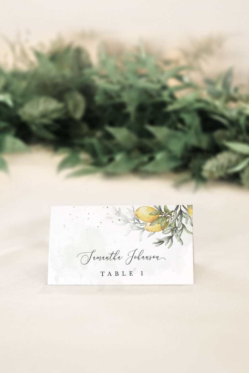 Lena Editable Watercolour Boho Rustic Greenery Hand Drawn Olive Branch Lemon Printable Wedding Table Name Template Instant Download Paper Party Supplies Invitations Announcements