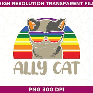 Nonbinary Gay Pride Cat LGBT Sunglasses PNG, LGBTQ Pride Png, Pride Month Png, Gay Pride, Love is Love Rainbow and Png Sublimation
