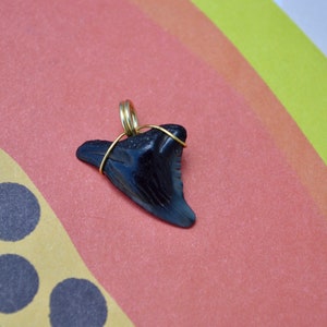 Shark Tooth Pendant