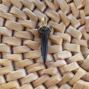 Shark Tooth Pendant