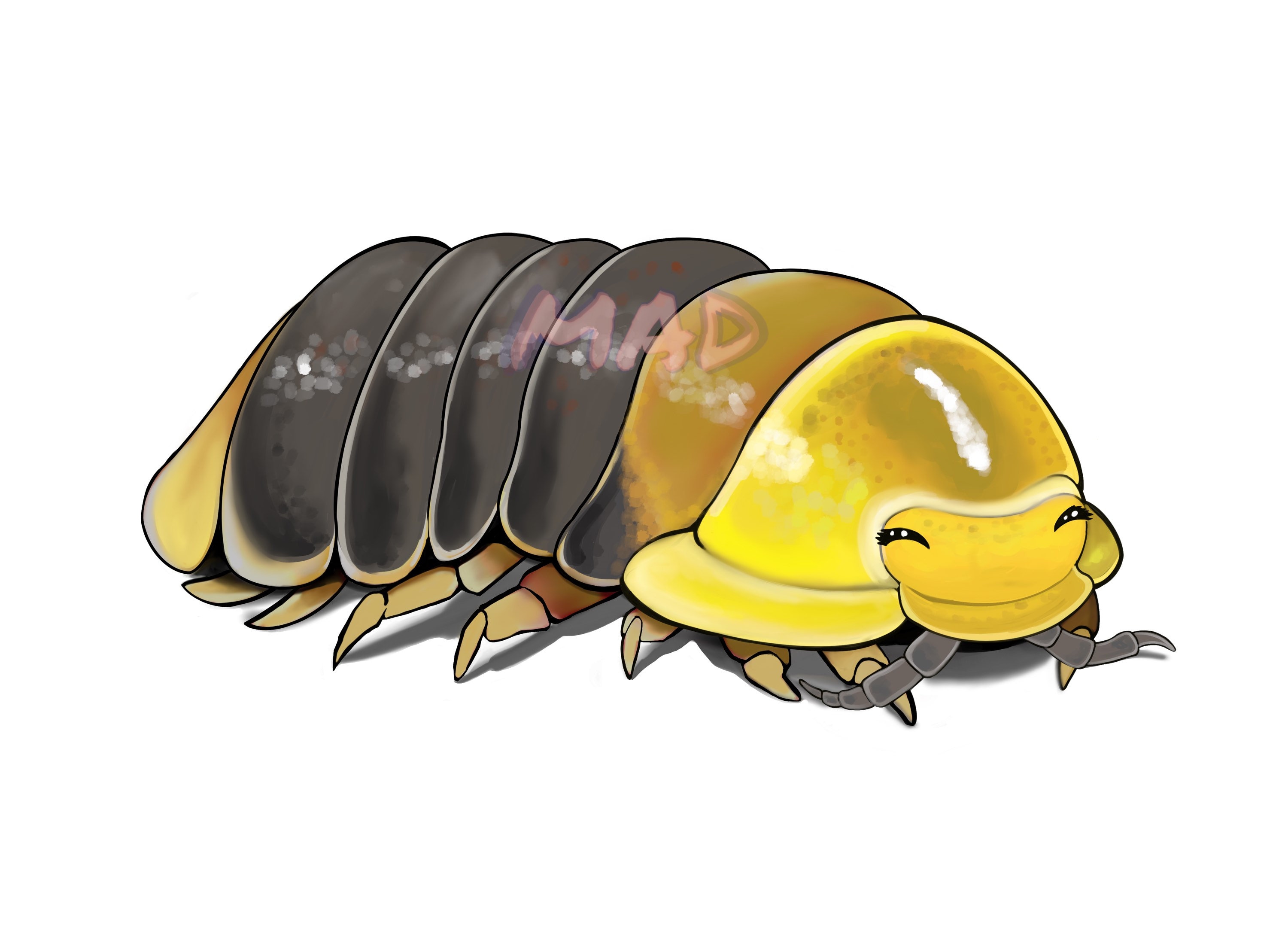 Rubber Ducky cuboidal Isopods Etsy